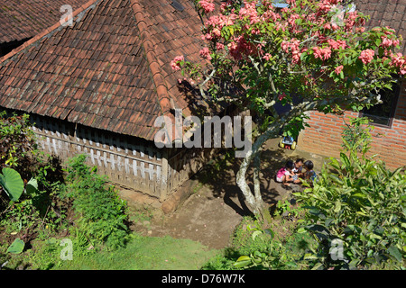 Indonesia Bali House and its garden in the village of Pedawa in the North region Stock Photo