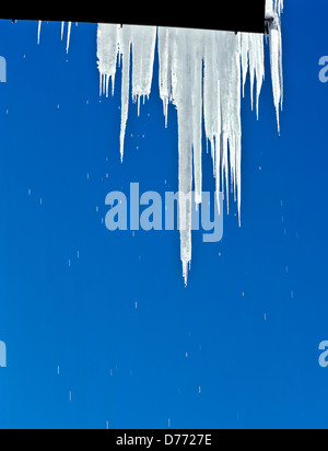 8670. Melting Icicles, Tirol, Austria, Europe Stock Photo