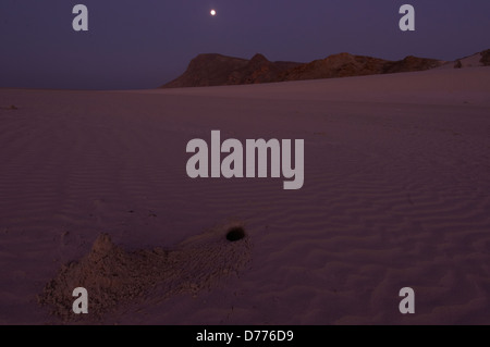A crab hole in the white sands of Socotra Stock Photo