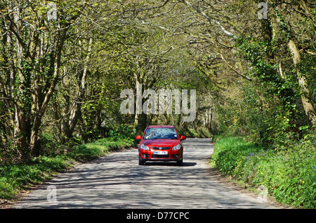 A red car driving along a woodland road Stock Photo