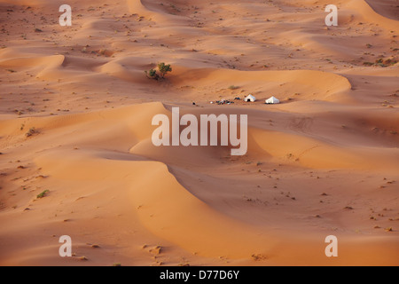 Bedouin Nomad camp in sand dunes Erg Chegaga interior Sahara Desert Morocco Stock Photo