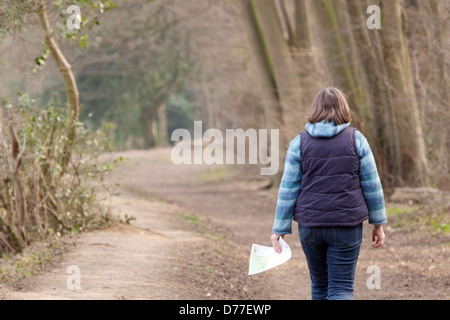A middle aged woman walking on a path in the woods, from the rear, Suffolk UK Stock Photo