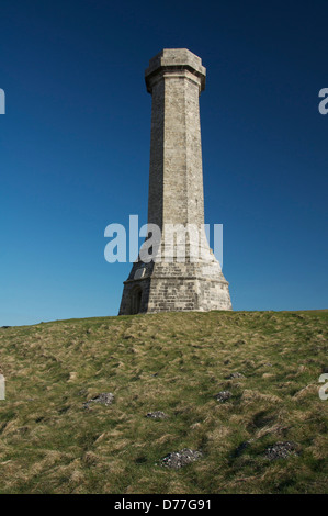 The Hardy Monument, erected in 1844 in memory of Vice Admiral Sir Thomas Hardy who served with Nelson at the Battle of Trafalgar. Dorset, England. UK. Stock Photo