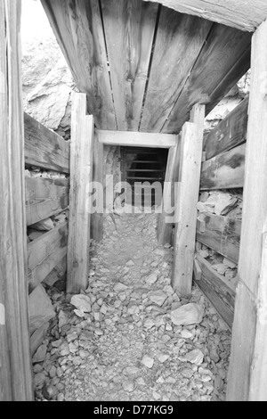 Rhyolite Gold mine entrance. Stock Photo
