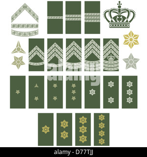 Military ranks and insignia of the world. The illustration on a white background. Stock Photo