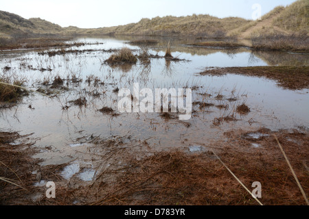 The Sefton Coast Special Area of Conservation covers 4,500 hectares of beach and dune habitats where seasonal ponds form Stock Photo