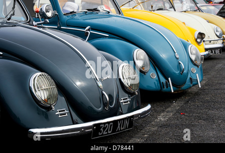 VW Beetle cars. Front end Stock Photo