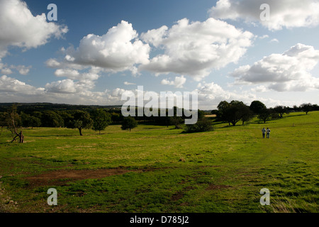 Wentworth Castle is a grade I listed country house, the former seat of the Earls of Strafford, at Stainborough, near Barnsley Stock Photo