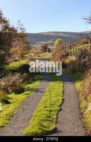 Country lane leading uphill with grass growing up the middle in Snowdonia National Park, North Wales, UK, Britain Stock Photo