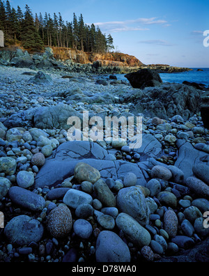 Cobbled shore Little Hunters Beach Mount Desert Island Acadia National Park Maine. Stock Photo