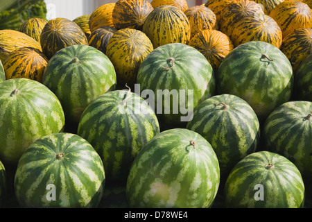 Turkey, Aydin Province, Kusadasi, Fresh green and yellow striped melons delivered to the head chef at Hotel Ladies Beach. Stock Photo