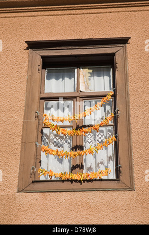 Turkey Aydin Province Kusadasi Strings of yellow orange chili peppers hanging from wooden window frame of house in old town to Stock Photo