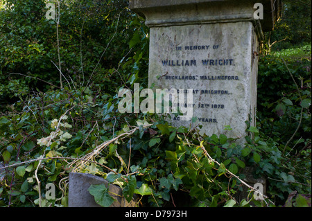 Overgrown gravestone, Brighton, UK Stock Photo