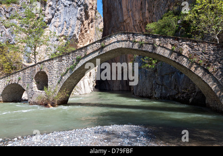 Portitsa gorge and the old stone bridge at Epirus, Greece Stock Photo