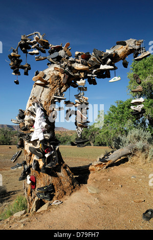 hundreds of shoes runners boots hang hanging from tree dead shoe graveyard marker commemorate mark site virgin Utah shoe tree Stock Photo