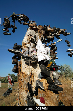 hundreds of shoes runners boots hang hanging from tree dead shoe graveyard marker commemorate mark site virgin Utah shoe tree Stock Photo