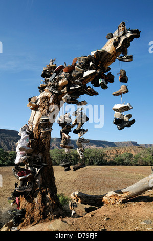 hundreds of shoes runners boots hang hanging from tree dead shoe graveyard marker commemorate mark site virgin Utah shoe tree Stock Photo