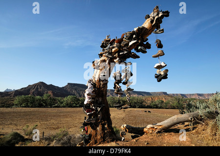 hundreds of shoes runners boots hang hanging from tree dead shoe graveyard marker commemorate mark site virgin Utah shoe tree Stock Photo