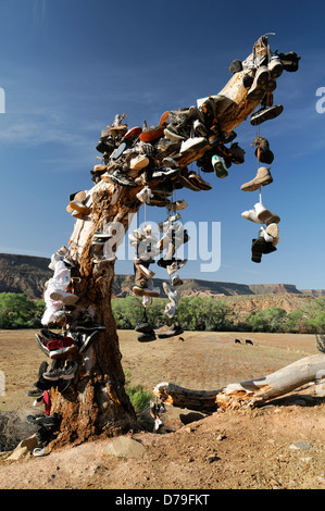 hundreds of shoes runners boots hang hanging from tree dead shoe graveyard marker commemorate mark site virgin Utah shoe tree Stock Photo