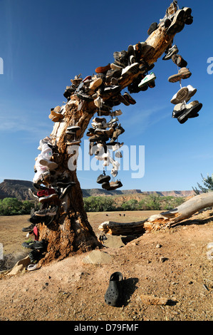 hundreds of shoes runners boots hang hanging from tree dead shoe graveyard marker commemorate mark site virgin Utah shoe tree Stock Photo