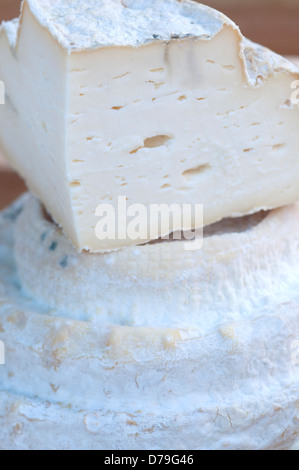 Italy, Piedmont, Montebore Cheese Stock Photo