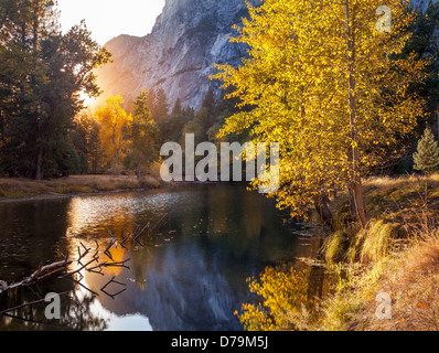 Yosemite National Park, California: Setting sun illuminating fall colors along the Merced river, Yosemite Valley