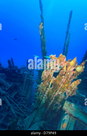 MR scuba diver WWII US Cargo Ship sunk in 1962 near Papeete Tahiti Nui South Pacific Stock Photo