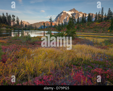 Mount Baker-Snoqualmie National Forest, Washington: Mt Shuksan reflecting on Picture Lake in evening light Stock Photo