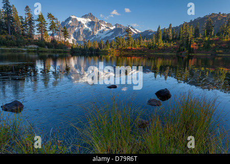 Mount Baker-Snoqualmie National Forest, Washington: Evening light on Mt Shuksan from the grass shore of Picture Lake, autumn Stock Photo