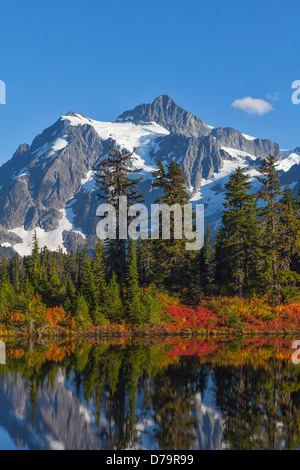 Mount Baker-Snoqualmie National Forest, Washington: Autumn colors around Picture Lake with Mt Shuksan in the background Stock Photo