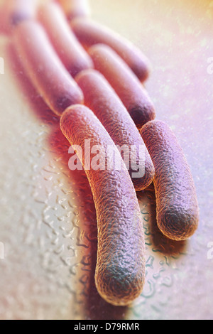 SHIGELLA SONNEI Stock Photo: 49162782 - Alamy