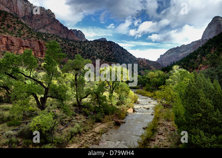 The virgin river in Zion National Park Stock Photo