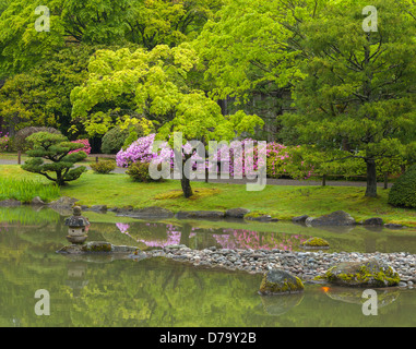 Seattle, WA: Spring view of the lake of the Japanese Garden in Washington Park Arboretum Stock Photo