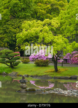 Seattle, WA: Spring view of the lake of the Japanese Garden in Washington Park Arboretum Stock Photo