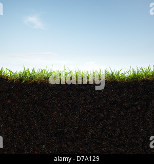 cross section of grass and soil against white background Stock Photo ...