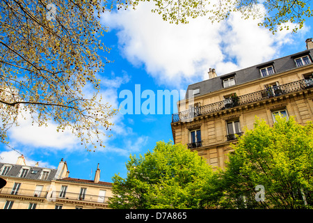 Typical Parisian buildings in the central district against clear blue sky by spring Stock Photo