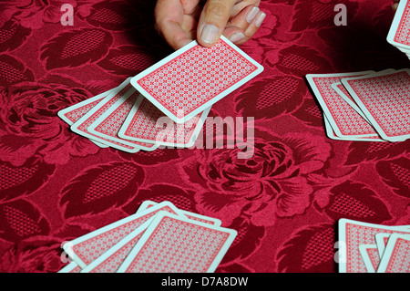 Woman dealing a pack of playing cards. Stock Photo