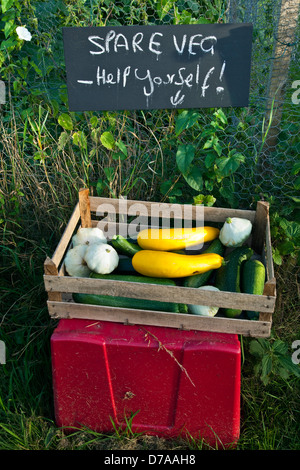 A box of vegetables and sign offering spare produce at an allotment gate Stock Photo