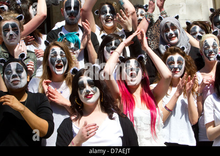 A  flashmob of about 50 people dressed as Badgers danced to Brian May's song outside the DEFRA offices in Smith Square,London Stock Photo