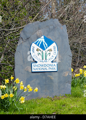 A Snowdonia National Park boundary marker on a slate rock with a border of daffodils near the roadside. Stock Photo