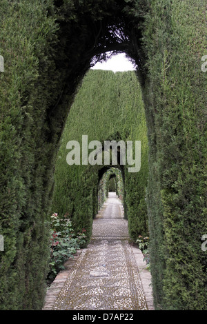 Topiary arches in the Generalife gardens, Alhambra, Andalucia Stock Photo