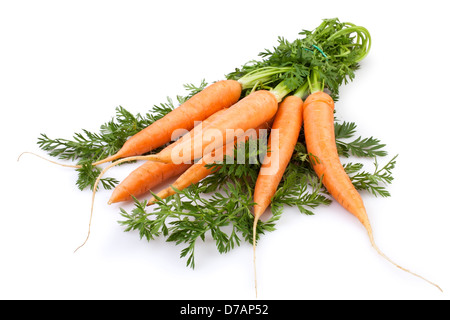 carrots new on white background Stock Photo