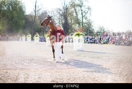 Badminton House, Gloucestershire, UK. 2nd May 2013.  Ms Zara Phillips MBE runs alongside her horse High Kingdom during First Horse Inspection at the Badminton Horse Trials, held in the park of Badminton House, Gloucestershire. Zara, the daughter of the Princess Royal and granddaughter of Queen Elizabeth II, won a silver medal during the London Olympic Games. 2nd May 2013. Credit: Adam Gasson/Alamy Live News Stock Photo