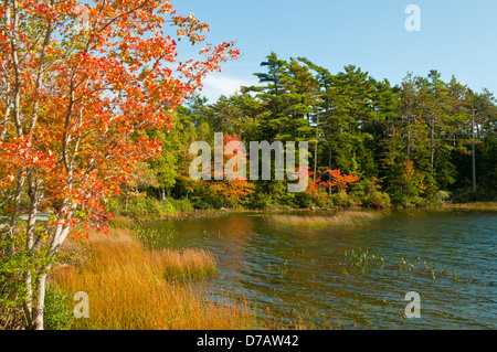 Eagle Lake, Acadia NP, Maine, USA Stock Photo