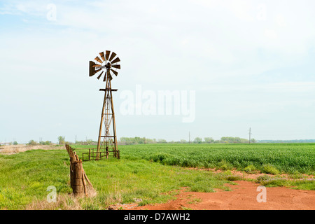 A windmill stands next to a wheat field in rural Oklahoma, USA. Stock Photo