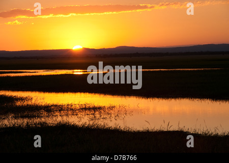 Sunset, Gorongosa National Park, Mozambique Stock Photo