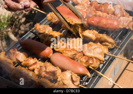 Bar-B-Que (Barbeque) Of Chicken Shashlik And Sausages Stock Photo