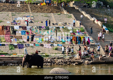HAMPI, INDIA – 2 MARCH: Lakshmi the temple elephant takes her daily bath in the river on 2 March 2013 in Hampi. Stock Photo