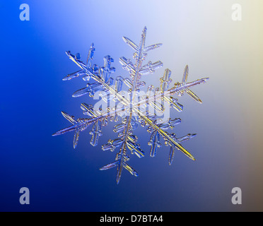 A real snowflake showing the classic 6-sided star shape photographed under a microscope;Anchorage alaska USA Stock Photo