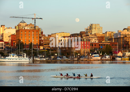 Dragon boat rowers practicing in Inner Harbor with Victoria skyline and full moon-Victoria, British Columbia, Canada. Stock Photo